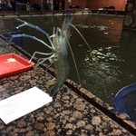 全佳樂釣蝦場 - 