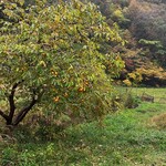 ろあん松田 - お店のすぐ前の様子