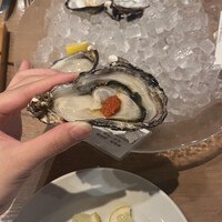 Oysterbar&Wine BELON 渋谷店 - 