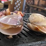 小田原さかなセンター - 