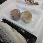 小田原さかなセンター - 