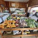 カフェスタンド広浦 - 葉付き大根が1本100円で売っていたので購入しました