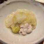 キガルニワショク弾 - 