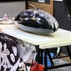 魚屋の台所 下の一色 ニシキ店