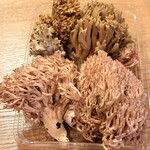 たち花 - 料理写真: