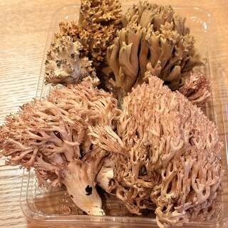 たち花 - 料理写真: