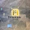 PONGA PREMIUM - 