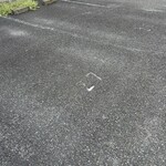 キッチンくま - ドリンク写真: