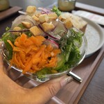 Expression Kawaguchiko - 