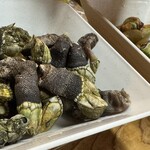 どっこいしょ - 