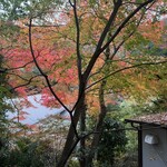 タカオ コーヒー - 