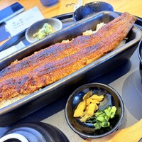 うなぎ四代目菊川 中洲春吉店 - うなぎ1本重　5,700円