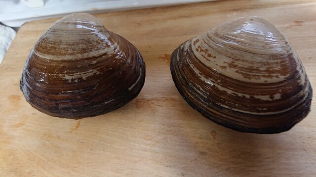 南三陸水産 - 高畠（その他）の写真