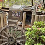 手打ちそば 石庄庵 - 