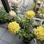 手打ちそば 石庄庵 - 