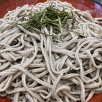 そば処 いび川 - どどーん！