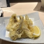 鮨 からす - イカのゲソとミミは天ぷらに！サクサクふわりと絶妙な揚げ具合でした！