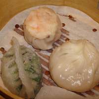 潮夢来 - 