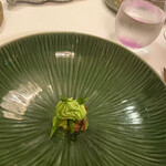 エヴォリュエ - 