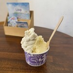 Gelateria & Factory Loop - 