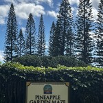 Dole Plantation - 