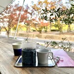 CCCSCD - 