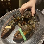 池袋　鉄板焼　ORCA - 生簀から