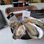 キンカウーカ グリル&オイスターバー 横浜ベイクォーター店 - 生牡蠣4ピース（半額）アメリカ産と岩手県釜石の生牡蠣