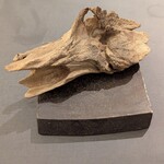 プレゼンテ スギ - 