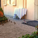 Donna Camilla Savelli - VRetreats - 鳩がパンをゲット！