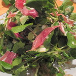 こいで - ②天然クレソンのサラダ