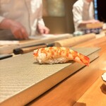 鮨 こしかわ - 車海老