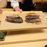 髙橋 謙太郎 - カマス