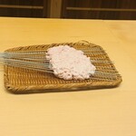 髙橋 謙太郎 - 白子