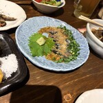 博多あかちょこべ - ごま鯖