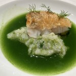 Yumanite - 白甘鯛　青のりのリゾット
