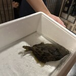 魚と日本酒 どまん中 はなれ - 
