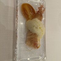 サーラ アマービレ - 