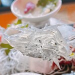 快飛 - 生しらす