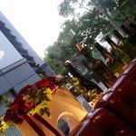 ビストロ巴里食堂 - 