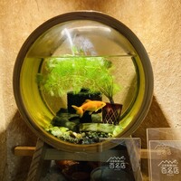 お料理 とみやま - 