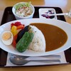 山の家 アララギ - ダムカレー