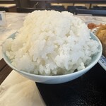 Toriryori Yoshikawa Shokudo