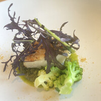 MAIN DINING by THE HOUSE OF PACIFIC - 