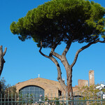 EATALY - 古代遺跡にローマの松