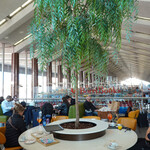 EATALY - イタリア人はアペロール好き