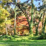 相国寺東門 田舎亭 - 京都御苑内