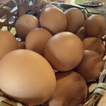 コケコッコー共和国 - 