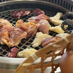 コケコッコー共和国 - 