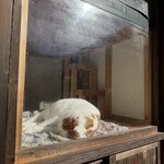 みすづ - 